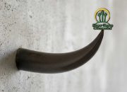 Triga Lampung Desak Ukur Ulang Eks HGU SGC Guna Memastikan Tidak Ada Lagi Konflik Agraria Kedepan