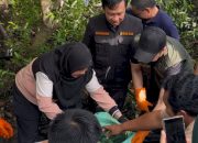 Sekdaprov Marindo dan Bunda Eva Pimpin Aksi Bersih-Bersih Pulau Pasaran