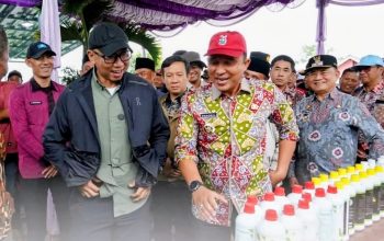 Gubernur Mirza Tinjau Infrastruktur hingga Serahkan Bantuan Saat Kunker di Lampung Barat