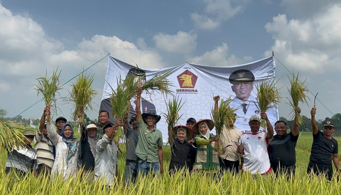 Erma Yusneli Panen Raya Bersama Petani Tanjung Sari, Janji Kawal Aspirasi ke Pusat